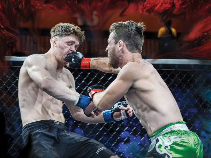 Reality Fighting
