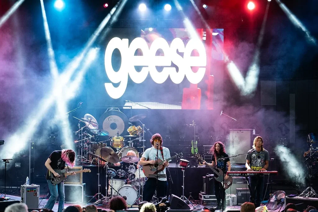 Goose tickets